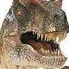 Avatar de raptor